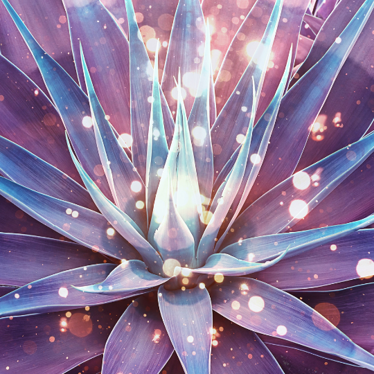 Alternative Therapies: Acupuncture, Reiki, Ayurveda, and more.